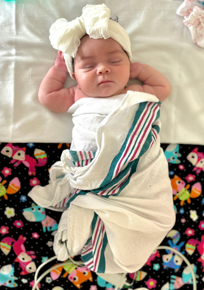 Amelia laying down comfortably