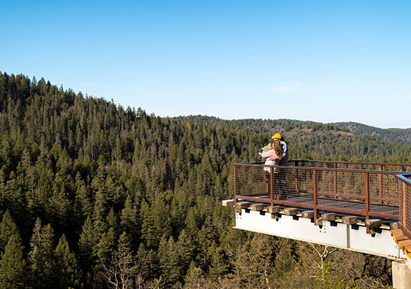 Dr. Jones enjoying nature in New Mexico