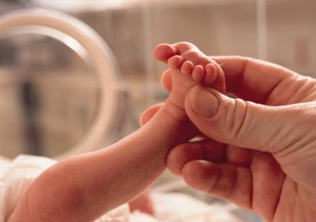 The tiny foot of a newborn baby in the NICU